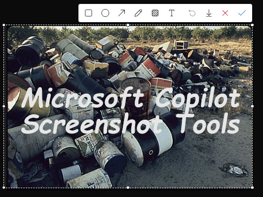 Microsoft Copilot Screenshot Tools